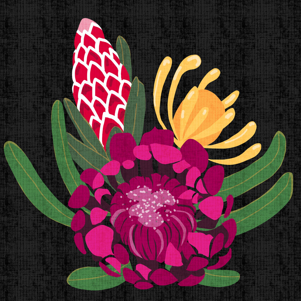 Protea Blossom Bunch Folk-Art Illustration