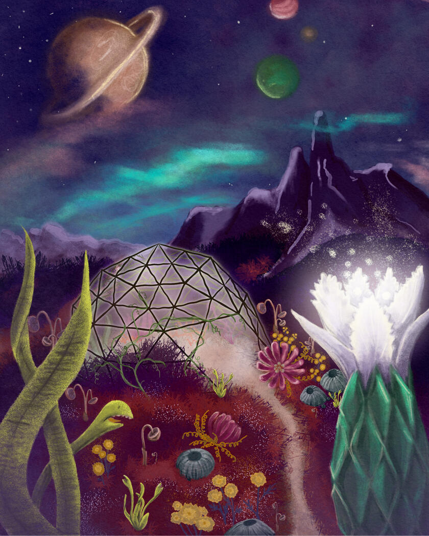 Garden from an Alien Planet