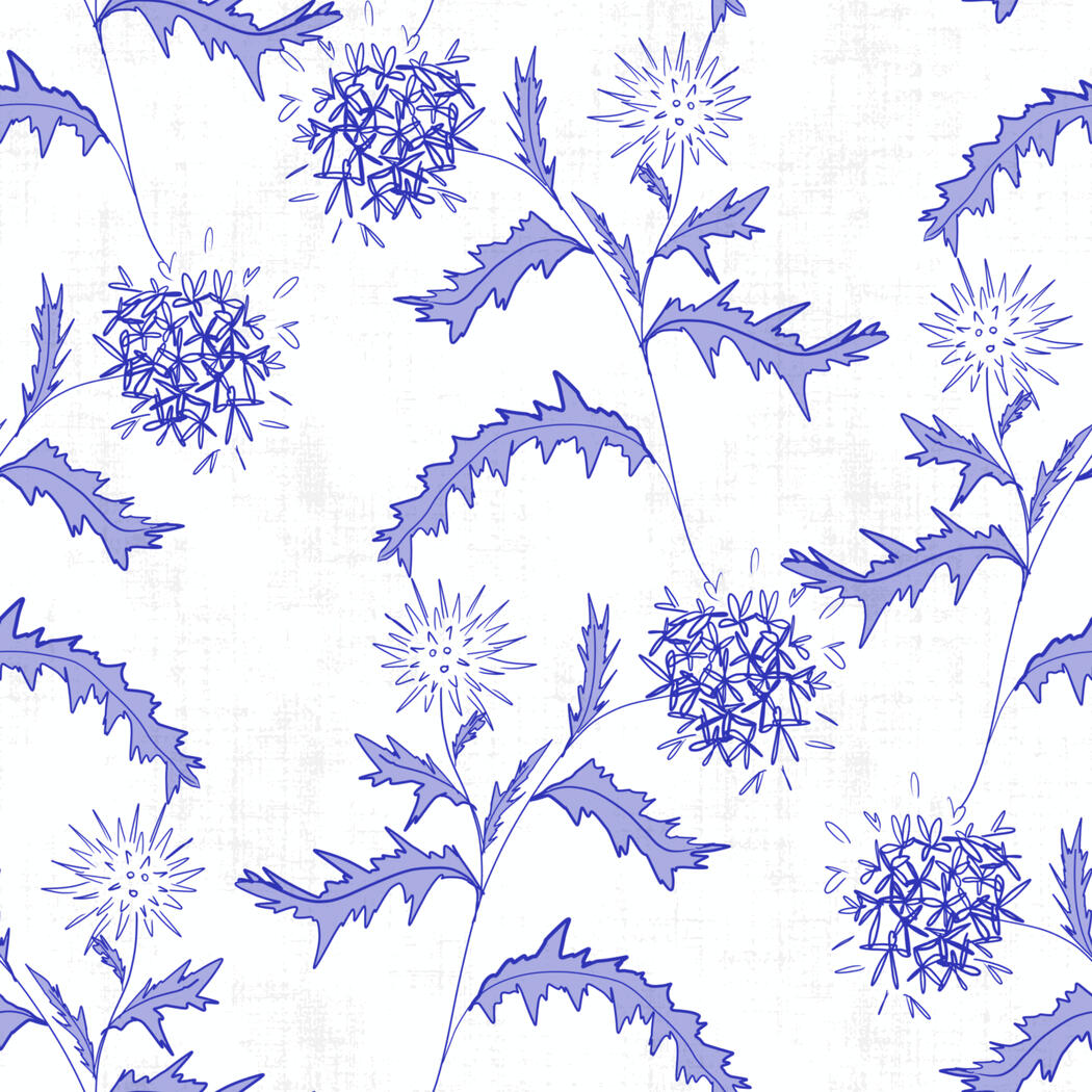Blue & white globe thistle stem line drawings in a random repeat